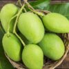 Multani mango