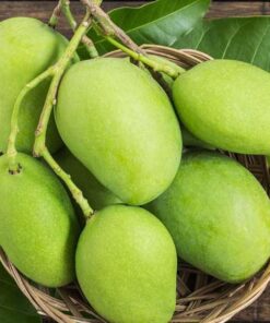Multani mango