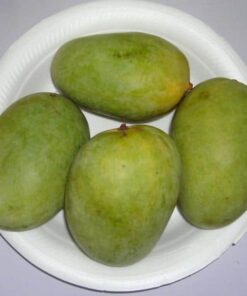 Precious Langra Jambo Pack