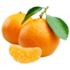 FRUITER