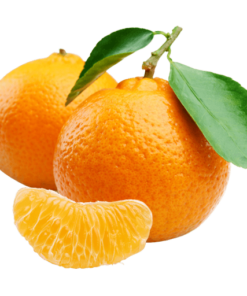 FRUITER